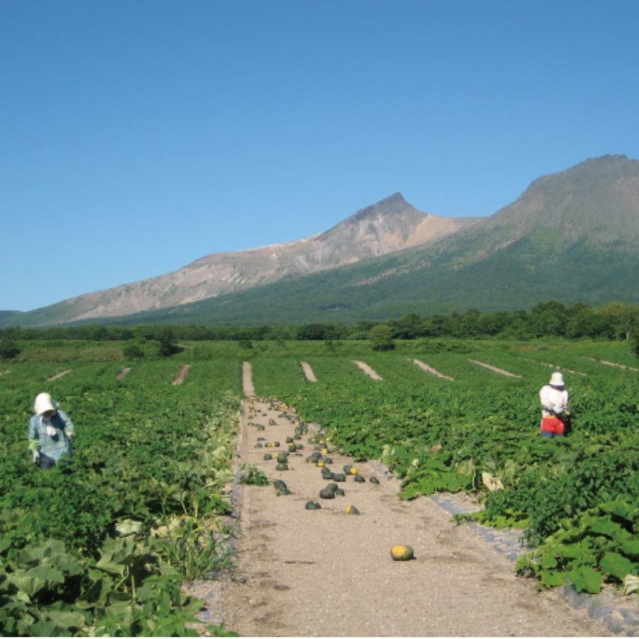 かぼちゃ ペースト 有機 200g×50 みよい農園 オーガニック レトルト 離乳食 JAS有機認定 北海道産 くりりん 業務用 