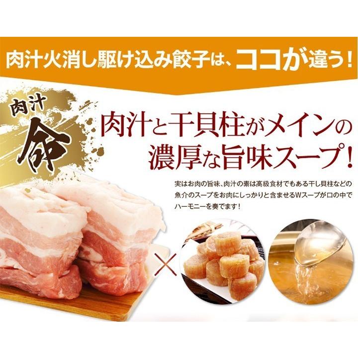 駆け込み餃子（20ケ入り/化粧箱なし） 餃子 焼き餃子 小籠包 ニンニク不使用 ニラ不使用 人気 お取り寄せ グルメ｜s-kakekomi-gyoza｜03