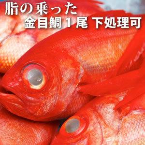 【魚屋の森さん】＜金目鯛（きんめだい・キンメダイ）1尾約1ｋｇ＞《当面の間冷凍便発送のみ》【入荷不安定の為、お届けにお日にちを頂く場合があります】｜s-kotobuki