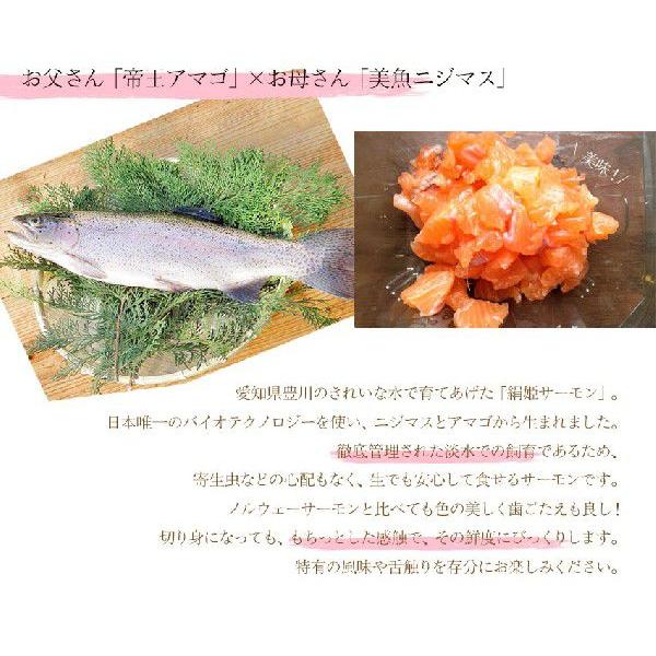 魚屋の森さん 愛知県ブランド魚 絹姫 きぬひめ サーモン約1 2 1 5kg前後 刺身ok 2セット購入で送料無料 Kinuhimesalmon 魚屋の台所 寿商店 通販 Yahoo ショッピング
