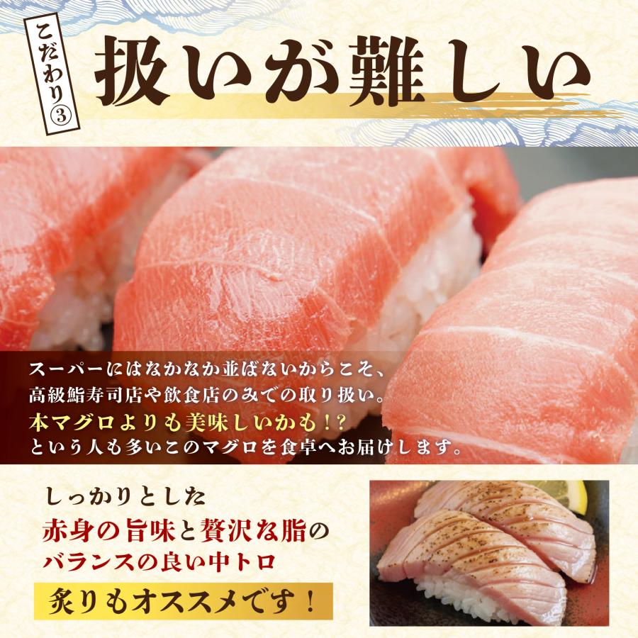 【冷凍便・送料無料】＜焼津港直送・ミナミマグロ柵約1kg＞まぐろ　本マグロ　鮪　送料無料　誕生日　ギフト　プレゼント　メガ盛り　パーティー_4