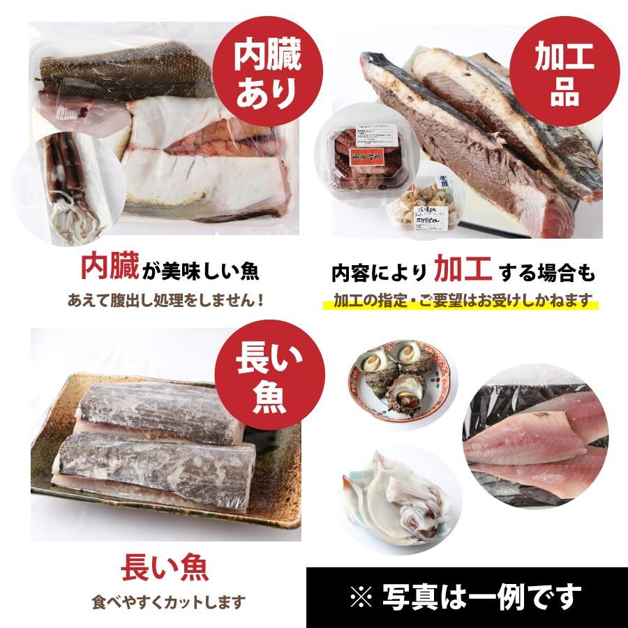魚屋の森さん 送料無料 国産商品 おまかせ鮮魚box 円コース 相場円相当 最短着希望は配送指定日なしでご注文ください Sengyobox 魚屋の台所 寿商店 通販 Yahoo ショッピング