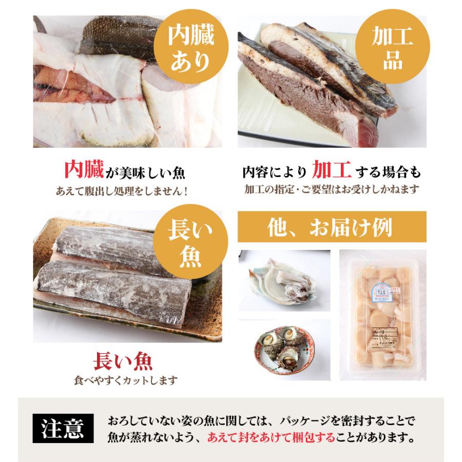 【魚屋の森さん】★送料無料 国産商品　おまかせ鮮魚BOX 30000円コース うにやあわび、カニなど　最短着希望は配送指定日なしでご注文ください｜s-kotobuki｜09