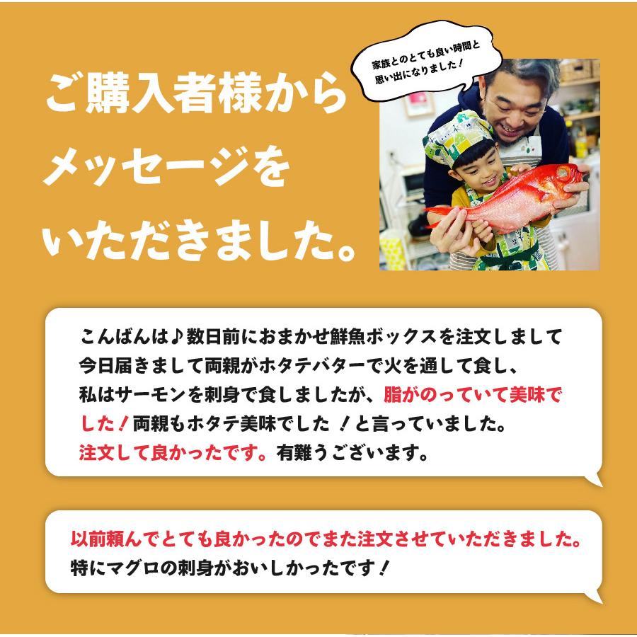 【魚屋の森さん】★送料無料 国産商品 おまかせ鮮魚BOX 鮮魚ボックス　5400円コース 最短着希望は配送指定日なしでご注文ください｜s-kotobuki｜11