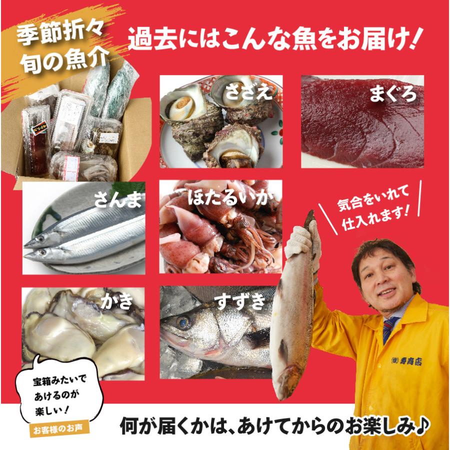 【魚屋の森さん】★送料無料 国産商品 おまかせ鮮魚BOX 鮮魚ボックス　5400円コース 最短着希望は配送指定日なしでご注文ください｜s-kotobuki｜05