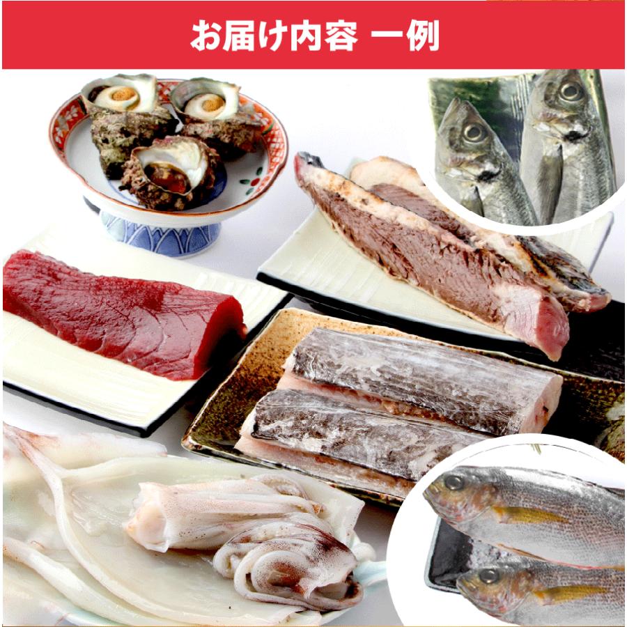 【魚屋の森さん】★送料無料 国産商品 おまかせ鮮魚BOX 鮮魚ボックス　5400円コース 最短着希望は配送指定日なしでご注文ください｜s-kotobuki｜06