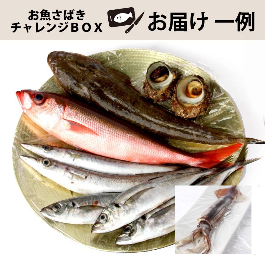 魚屋の森さん】【送料無料】＜国産商品/おさかなさばきチャレンジBOX