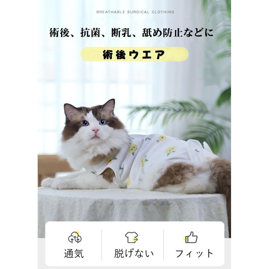 猫 術後服 メス マジックテープ 避妊手術 離乳 傷 : 輸入雑貨スマート