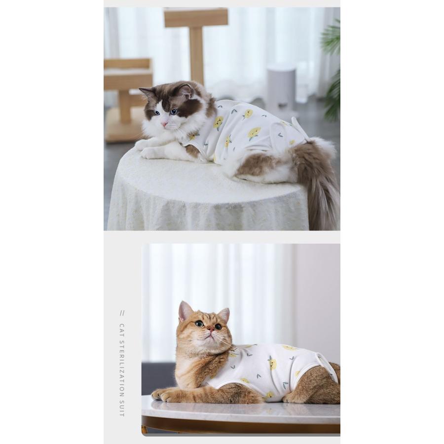 猫 術後服 メス マジックテープ 避妊手術 離乳 傷 : 輸入雑貨スマート