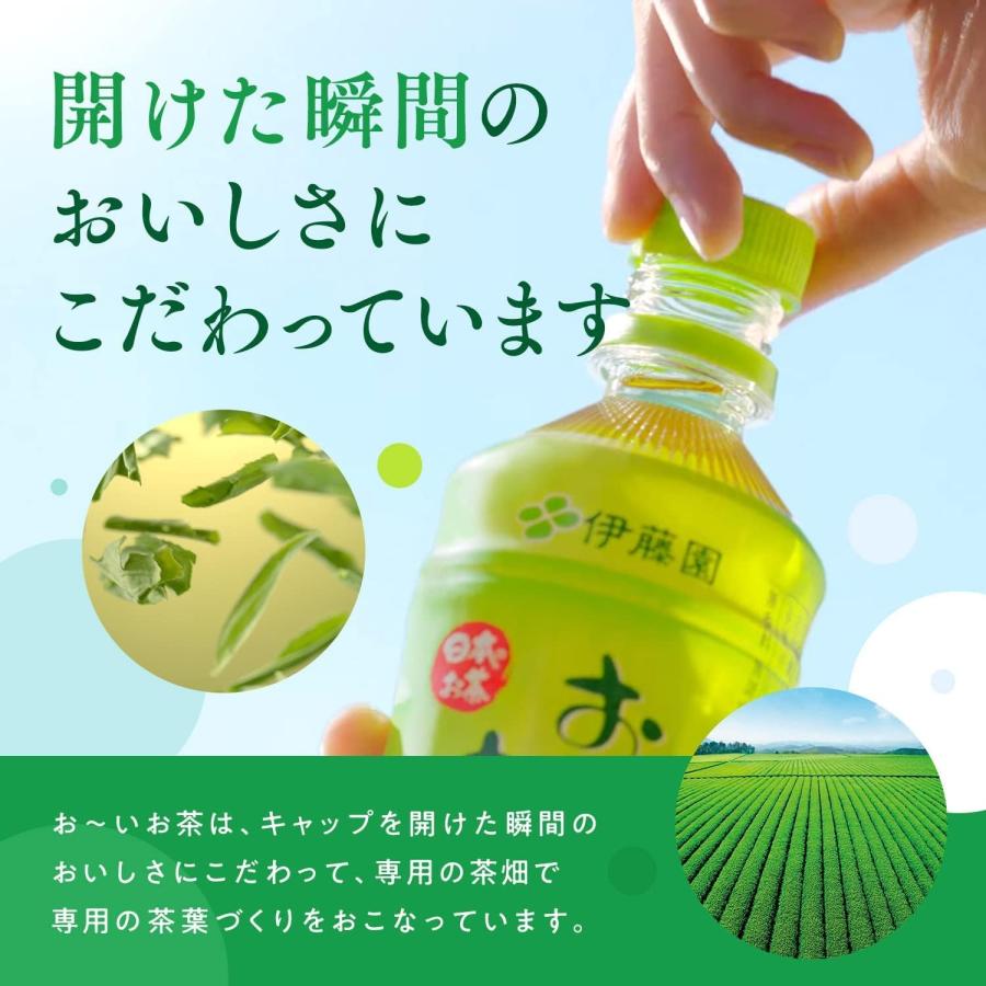 お〜いお茶 伊藤園 緑茶 PET 350ml（ポケッティボトル）×24本