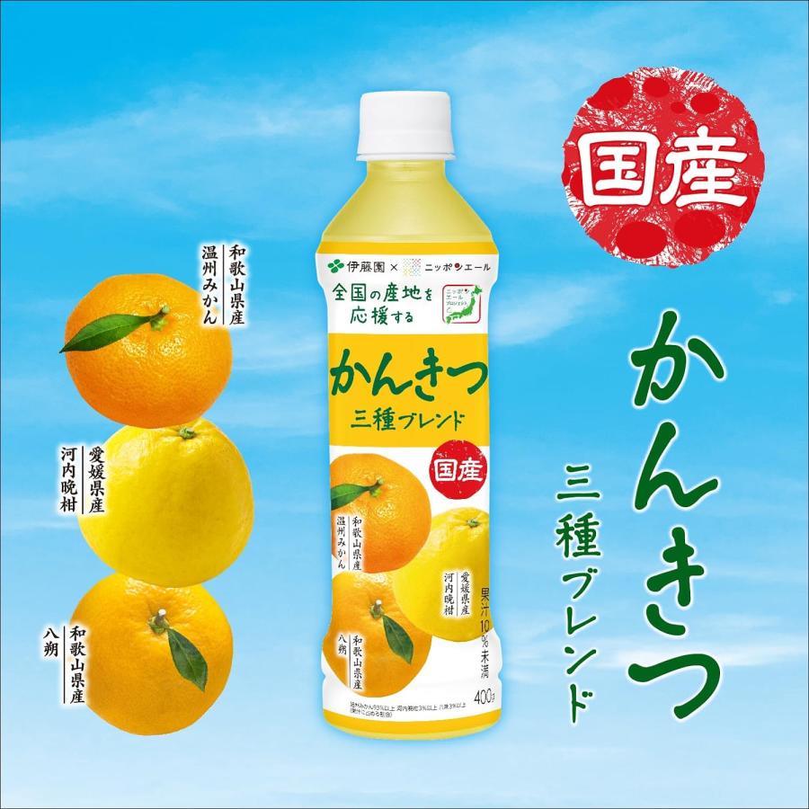 伊藤園　ニッポンエール 国産かんきつ三種ブレンド 400gペットボトル×24本（1ケース）｜s-mart-store｜02