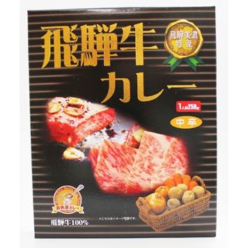 覇楼館 飛騨牛カレー 中辛 250g×10個（1ケース）