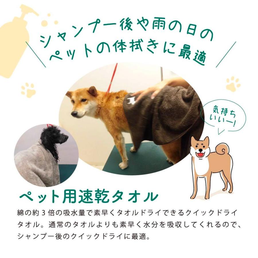 クリスマスツリー特価！ 業務用ペットドライヤー 超速乾セット 黒 青