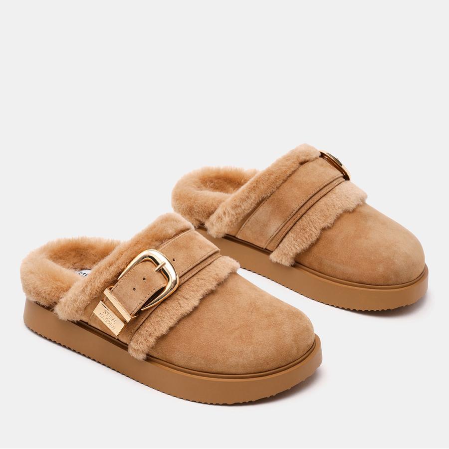 STEVE MADDEN（スティーブ・マデン） ファーバックルサボ COZY UP