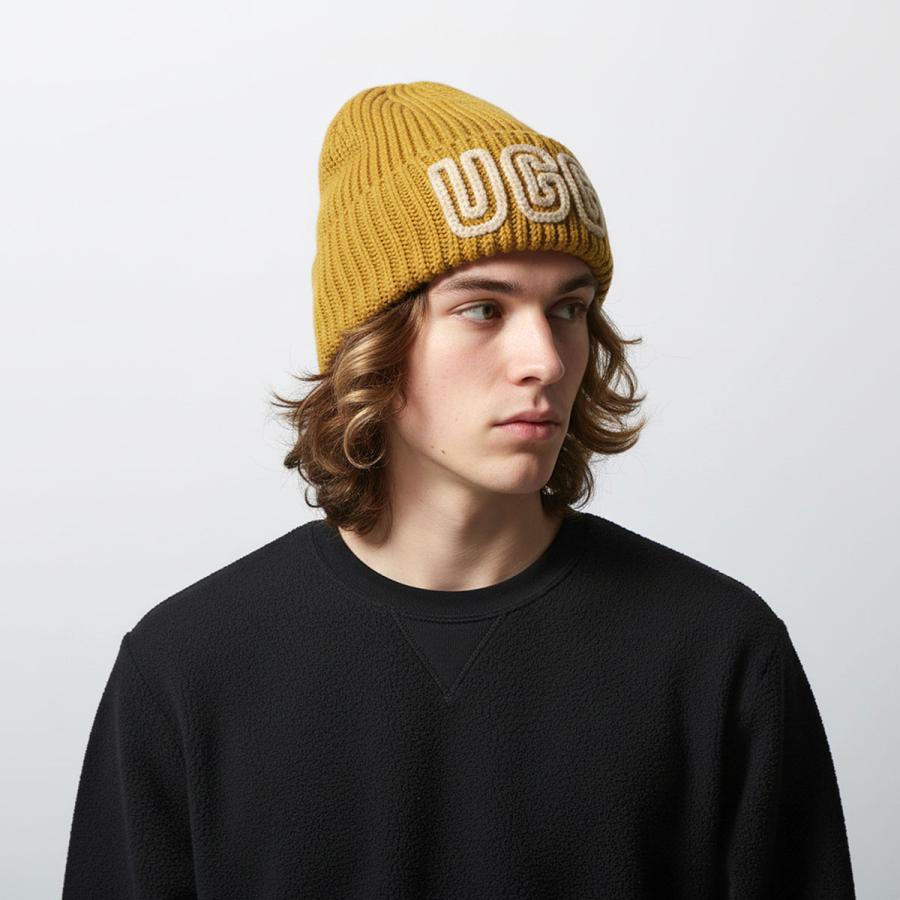 UGG（アグ） ニット帽 W CHUNKY CRAFTED RIB BEANIE 102345 レディース