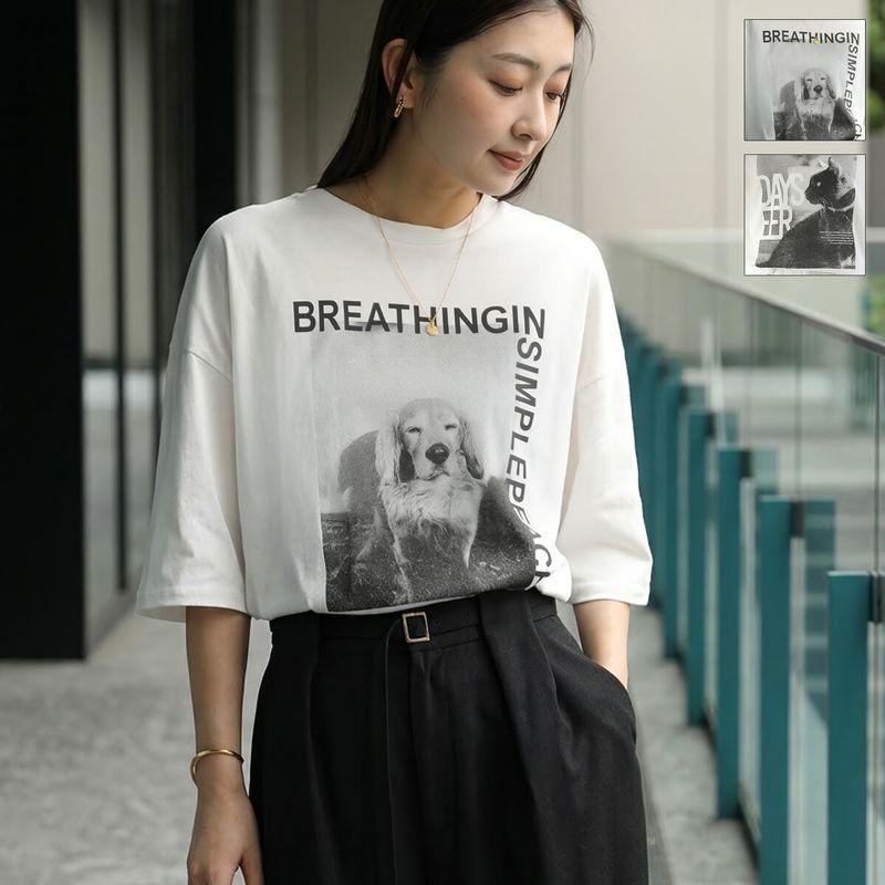 CHIGNON（シニヨン） Tシャツ 8461-100KK 8461-101KK レディース