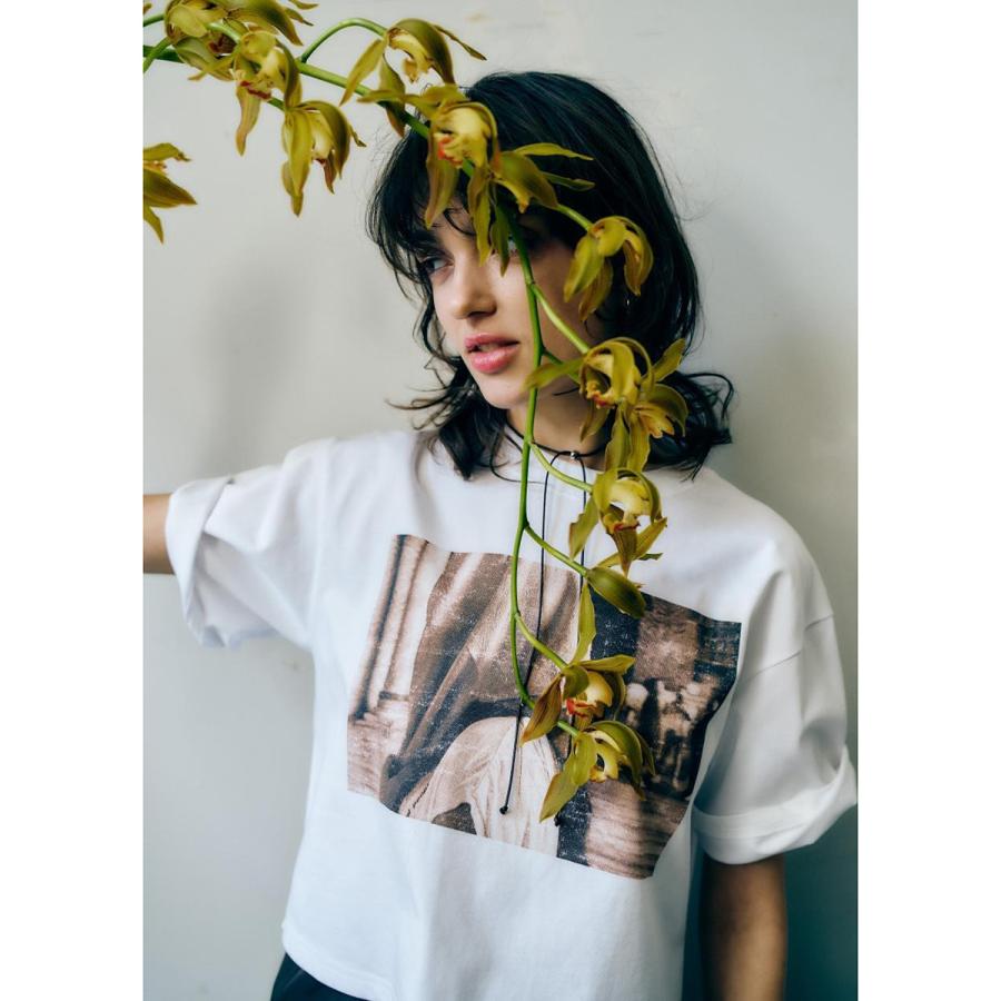 anana アナナ Tシャツ a16-014 レディース 半袖 フォトT プリント コットン カットソー クルーネック クロップド ショート丈 カラー2色の画像