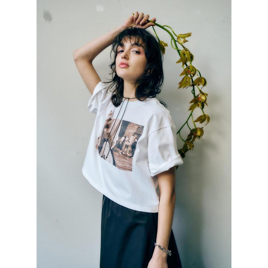 anana アナナ Tシャツ a16-014 レディース 半袖 フォトT プリント コットン カットソー クルーネック クロップド ショート丈 カラー2色の画像