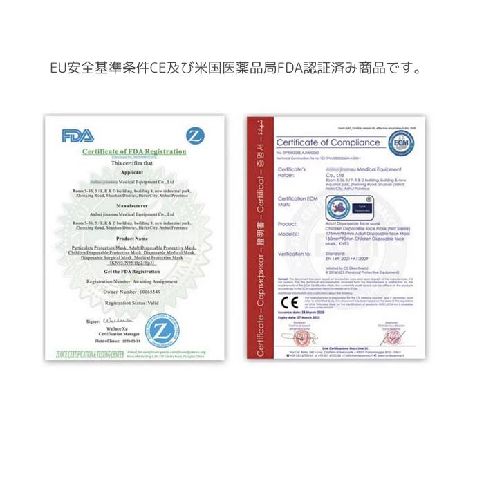 不織布マスク カラー 柄 花柄 フラワー マスク 不織布 20枚 母の日