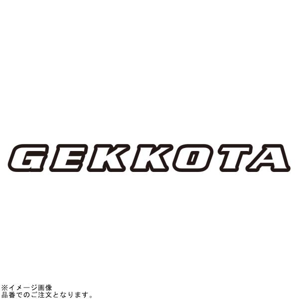 IRC アイアールシー 102652 iX-09W GEKKOTA リアタイヤ 110/100-18 64M