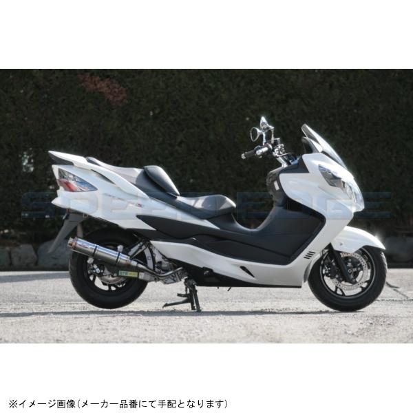 RPM アールピーエム 6021Z 80D-RAPTOR SKYWAVE250(CJ44A/CJ46A) サイレンサーカバー ブルーチタン エキゾースト ステンレス