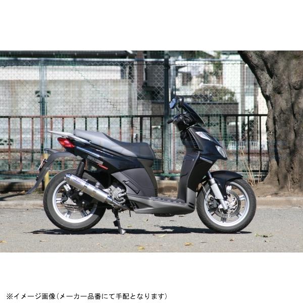 RPM アールピーエム 6034Z 80D-RAPTOR SPORTCITY250ie サイレンサーカバー ブルーチタン エキゾースト ステンレス