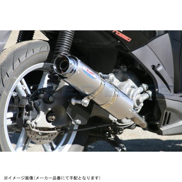 RPM アールピーエム 6034Y 80D-RAPTOR SPORTCITY250ie サイレンサー