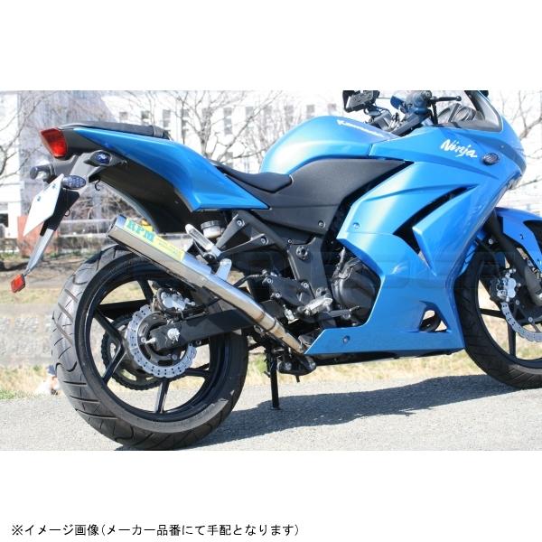 BMS-R ステンレス マフラー 青銀 ニンジャ250 ex250l BMS-R ステンレス マフラー 青銀 ニンジャ250 ex250l - メルカリ