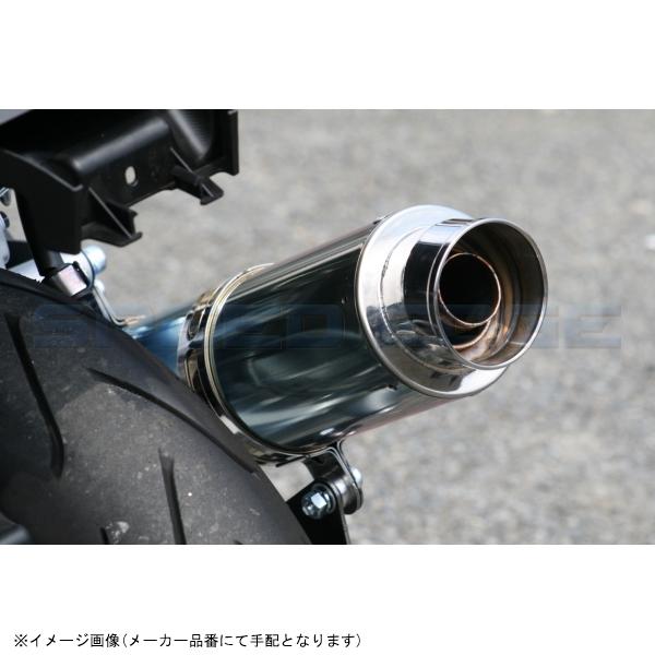 RPM アールピーエム 6042Y 80D-RAPTOR MAJESTY S(JBK-SG28J) サイレンサーカバー チタン エキゾースト ステンレス_4