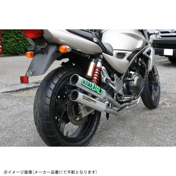 RPM アールピーエム 1064Y RPM-DUAL BALIUS-2(’97-’98) サイレンサーカバー チタン エキゾースト スチールメッキの画像