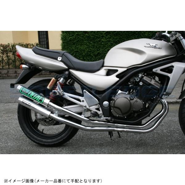 RPM アールピーエム 1064Y RPM-DUAL BALIUS-2(’97-’98) サイレンサーカバー チタン エキゾースト スチールメッキの画像