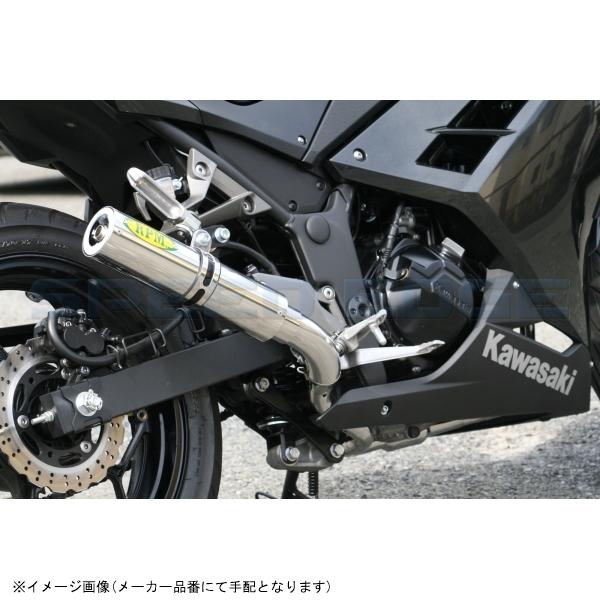 RPM アールピーエム 1076 RPM Ninja250/Z250 サイレンサーカバー ステンレス エキゾースト ステンレスの画像