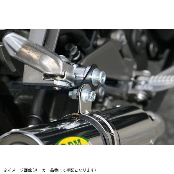 RPM アールピーエム 1076 RPM Ninja250/Z250 サイレンサーカバー ステンレス エキゾースト ステンレスの画像