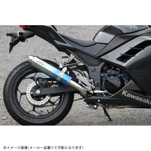 RPM アールピーエム 6509Y 80D-RAPTOR Ninja250/Z250 サイレンサーカバー チタン エキゾースト ステンレス_1