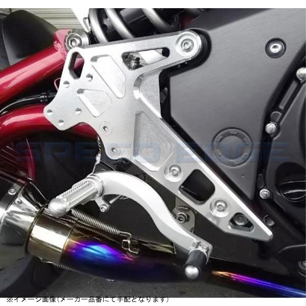 BEET ビート 0111-KC9-20 ハイパーバンク 固定式 SLV NINJA400 14-17