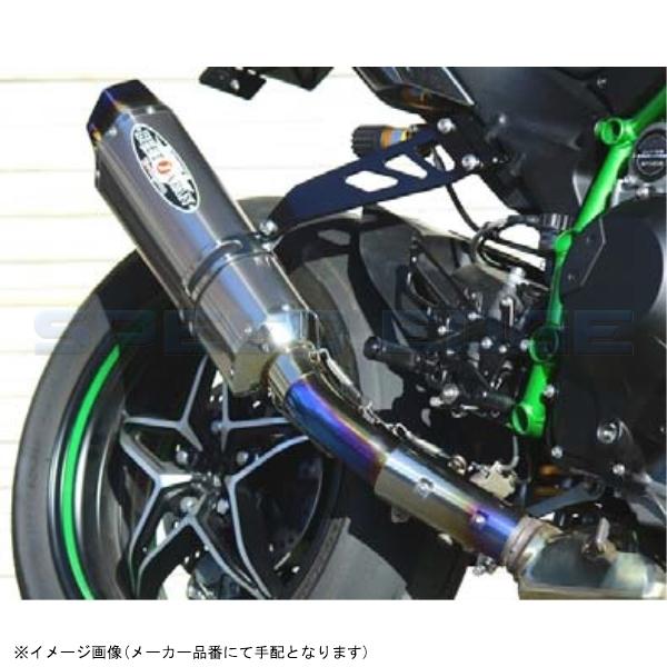 BEET ビート 0222-KE9-50 ナサート-Evo TYPE2 S/O クリアTI NINJA H2/CARBON 15-19の画像