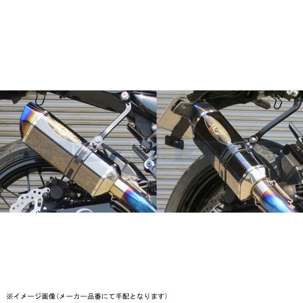 BEET ビート 0222-S38-MB ナサート-Evo TYPE2 T2 S/O メタルBLK GSX1300R 08-