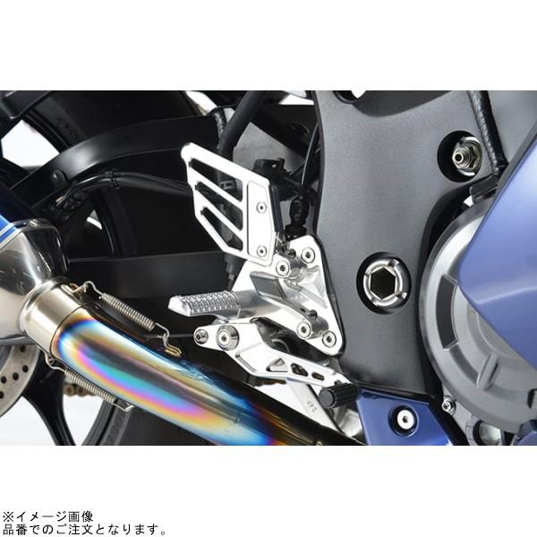 r's gear（アールズギア） AC01-0200-CL ライディングステップ (クリア