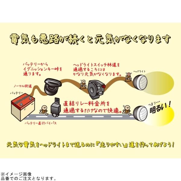 DAYTONA（デイトナ） 在庫あり 72835 ヘッドライトリレーキット H4W(2