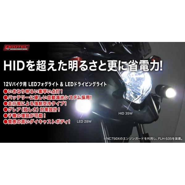PROTEC（プロテック） 66533-R LEDフォグライト(12V/バイク用) (REV