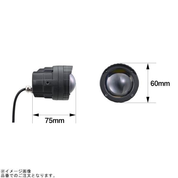 DAYTONA（デイトナ） 40329 LEDフォグランプユニット プレシャスレイW