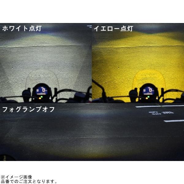 DAYTONA（デイトナ） 40329 LEDフォグランプユニット プレシャスレイW