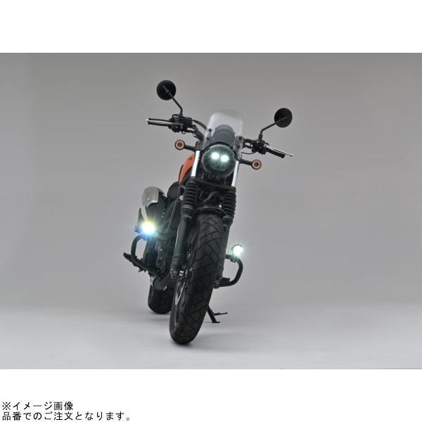 DAYTONA（デイトナ） 40329 LEDフォグランプユニット プレシャスレイW