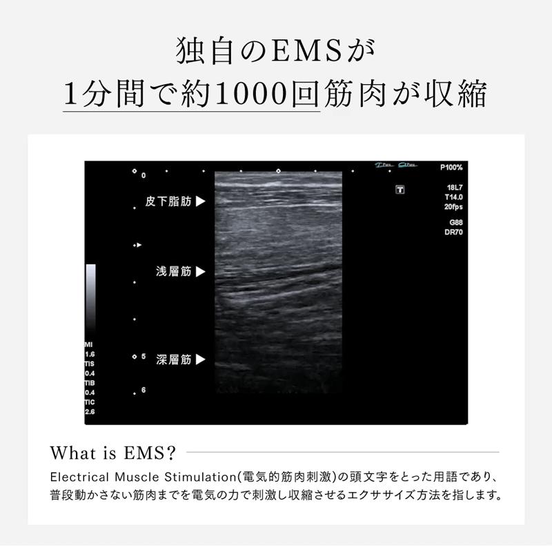 MYTREX（マイトレックス） お尻 太もも 下半身 トレーニング EMS