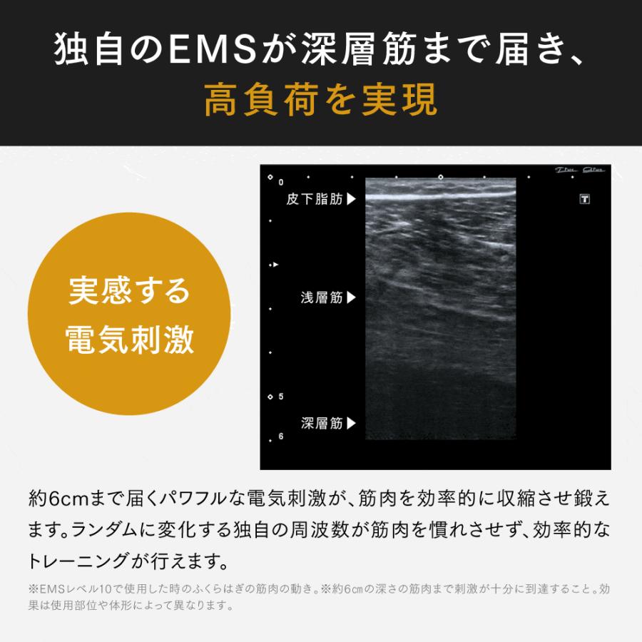 EMSフットローラー 健康器具 トレーニング 筋トレMYTREX 公式 ELEXA