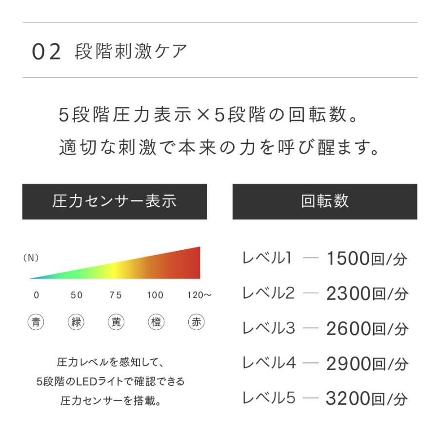 マッサージガン ベルトセット スポーツ 全身 筋膜リリース  マッサージ器 フットマッサージャー  マッサージ機  MYTREX マイトレックス ゼン ZEN｜s-pln｜15