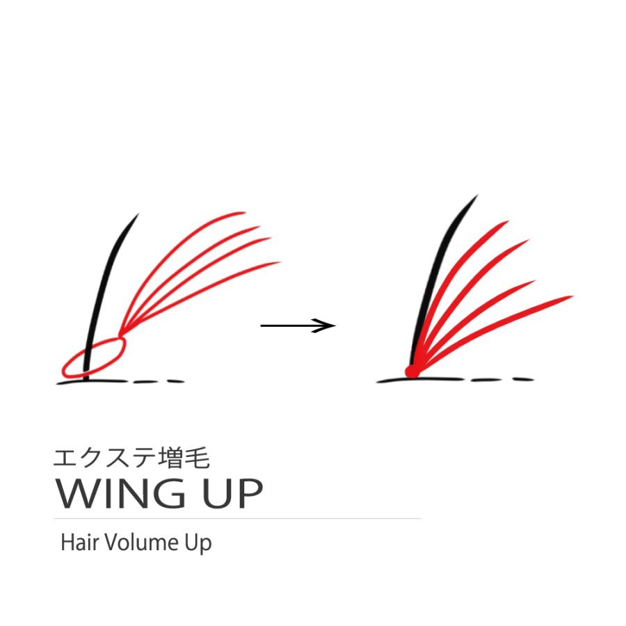 増毛エクステ｜日本製｜WING-UP｜艶消し人毛仕上げ｜形状記憶ループ