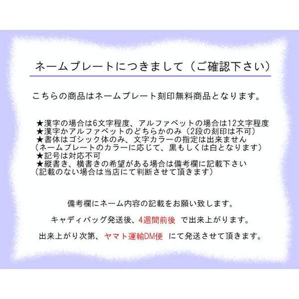 BRIDGESTONE（ブリヂストン） ゴルフ 9.5型 キャディバッグ CBG32B