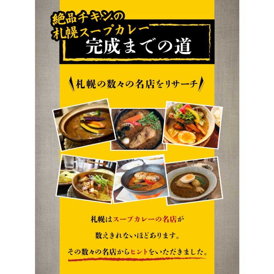 【送料無料】絶品チキンの札幌スープカレー 2食セット スープカレー レトルト 人気 スパイスカレー チキンレッグ 北海道 保存食 非常食 おとりよせグルメ |  | 04