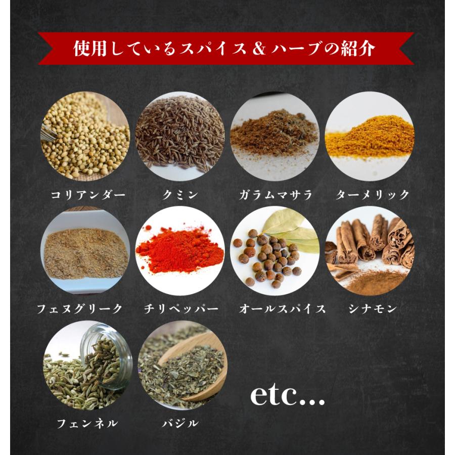 【送料無料】絶品チキンの札幌スープカレー 2食セット スープカレー レトルト 人気 スパイスカレー チキンレッグ 北海道 保存食 非常食 おとりよせグルメ |  | 08